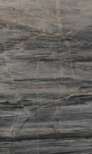 Modern Quartzite countertop
